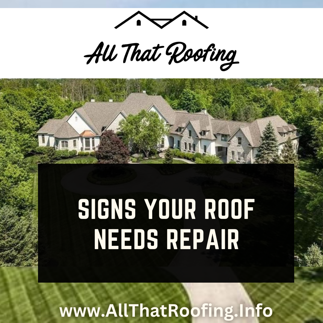Signs Your Roof Needs Repair - Roof Replacement