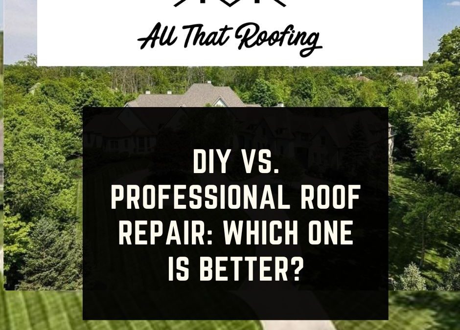DIY vs Professional Roof Repair