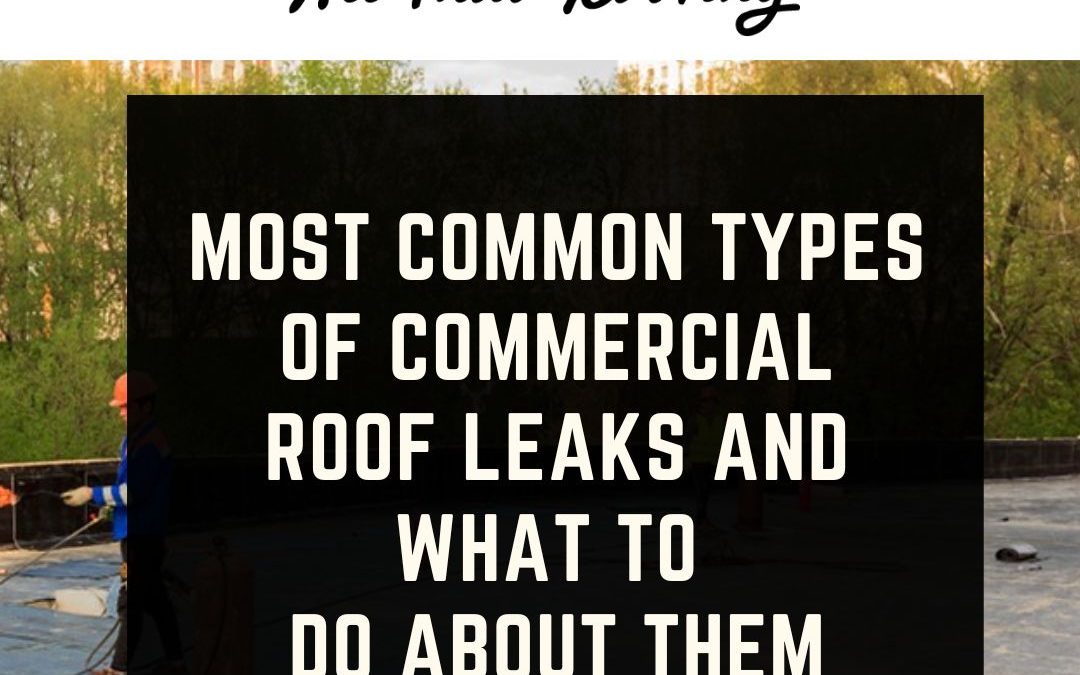 Most Common Types of Commercial Roof Leaks and What to Do About Them