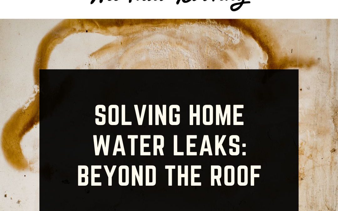 Solving Home Water Leaks: Beyond the Roof
